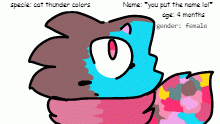 Thunder colors cat adoptable