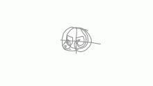 Aries head