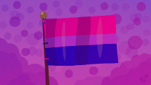 BI-pride!💖💜💙
