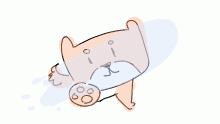 shib has nothing to do