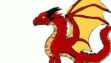 a profile