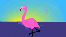 Flamingo