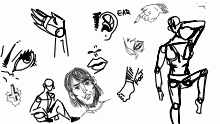 anatomy practice if you will