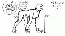 Timore Doodle