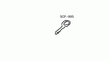 SCP-005
