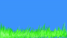 Just Grass