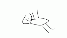 Fly cycle