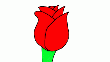 rose