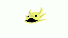 Rej Pog