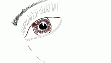 Eye