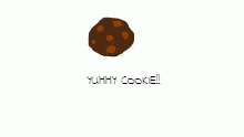 The Yummy Cookie!