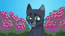 kitcat