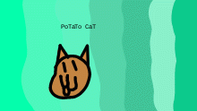 pa a pa potato cat