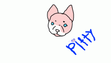 pink pitty