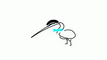 You are now a bird