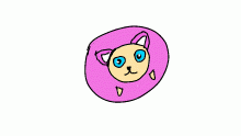 pygmy puff