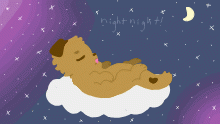 night time