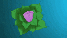 Flower?