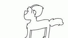 This is my dog