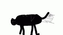 talking dog
