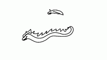eel addon!!