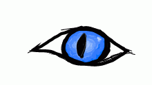 eye