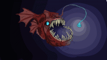 angler fish