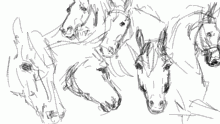 practice doodles bcuz im EXHAUSTED