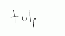 Avatar for -tulp