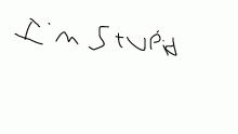 im stupid