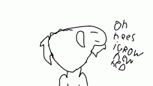 new hed
