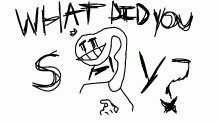 w h a t d i d y o u s a y ?