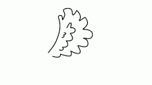 wing