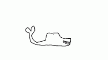 exploding whale