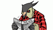 Avatar for Lapwing
