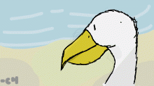 quack quack