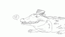 Avatar for Crazy_Crocs