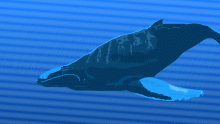 Humpback