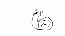 snail