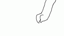 im used to flipanim more