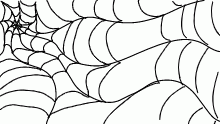 spiderwebs