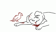 ugly bird!!!