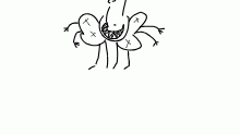 THE FLYS DIPPED INTO