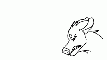 Practice (fixed)