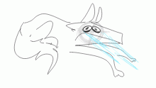 doesnt know what to vent draw