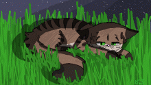 Cat under the stars uwu