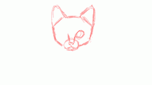 a cat yawning