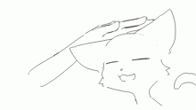 pet the cat
