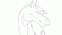 more horse bases