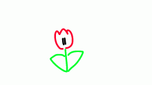 tulp